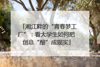 湘江畔的“青春梦工厂”：看大学生如何把创意“酿”成现实