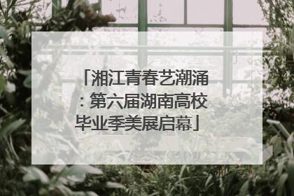 湘江青春艺潮涌：第六届湖南高校毕业季美展启幕