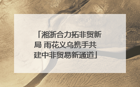 湘浙合力拓非贸新局 雨花义乌携手共建中非贸易新通道