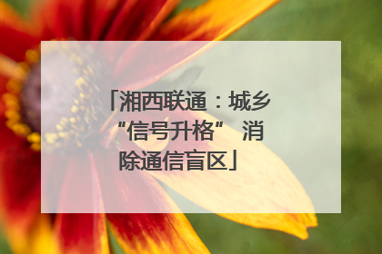 湘西联通：城乡“信号升格” 消除通信盲区