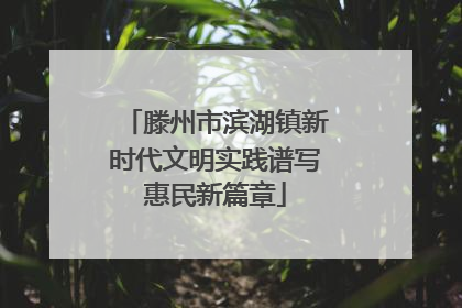 滕州市滨湖镇新时代文明实践谱写惠民新篇章