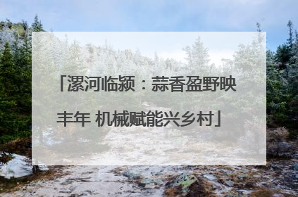 漯河临颍：蒜香盈野映丰年 机械赋能兴乡村