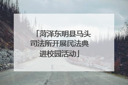菏泽东明县马头司法所开展民法典进校园活动
