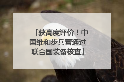 获高度评价！中国维和步兵营通过联合国装备核查