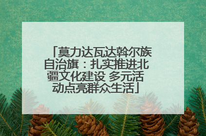 莫力达瓦达斡尔族自治旗：扎实推进北疆文化建设 多元活动点亮群众生活