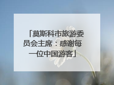 莫斯科市旅游委员会主席：感谢每一位中国游客