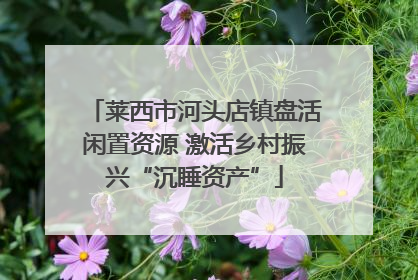 莱西市河头店镇盘活闲置资源 激活乡村振兴“沉睡资产”