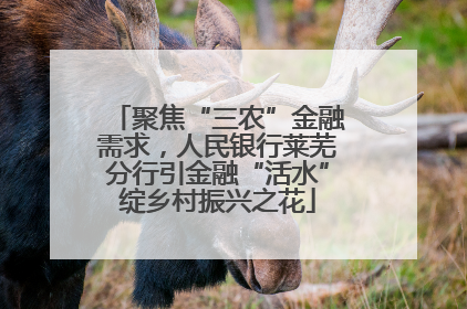聚焦“三农”金融需求，人民银行莱芜分行引金融“活水”绽乡村振兴之花