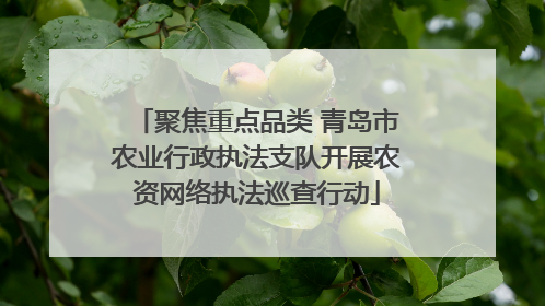 聚焦重点品类 青岛市农业行政执法支队开展农资网络执法巡查行动