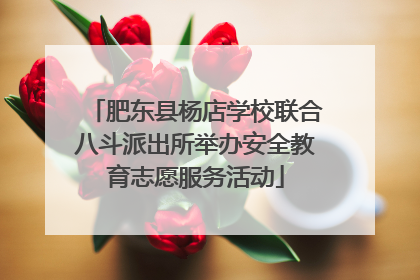 肥东县杨店学校联合八斗派出所举办安全教育志愿服务活动
