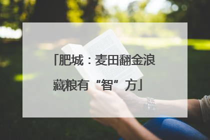 肥城：麦田翻金浪藏粮有“智”方