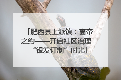 肥西县上派镇：窗帘之约——开启社区治理“银发订制”时光