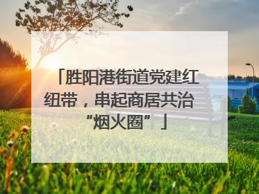 胜阳港街道党建红纽带，串起商居共治 “烟火圈”