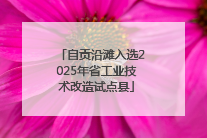 自贡沿滩入选2025年省工业技术改造试点县
