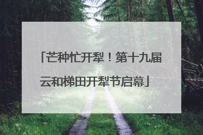 芒种忙开犁！第十九届云和梯田开犁节启幕