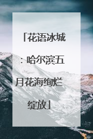 花语冰城：哈尔滨五月花海绚烂绽放