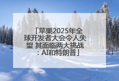 苹果2025年全球开发者大会令人失望 其面临两大挑战：AI和特朗普