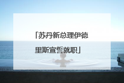 苏丹新总理伊德里斯宣誓就职