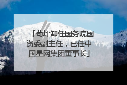 苟坪卸任国务院国资委副主任，已任中国星网集团董事长