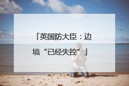 英国防大臣：边境“已经失控”