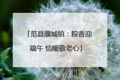范县濮城镇：粽香迎端午 情暖敬老心