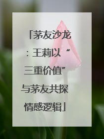茅友沙龙：王莉以“三重价值”与茅友共探情感逻辑