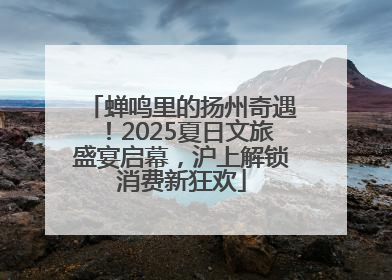 蝉鸣里的扬州奇遇！2025夏日文旅盛宴启幕，沪上解锁消费新狂欢