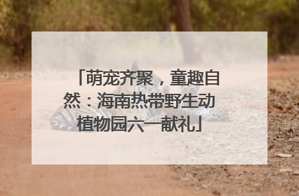 萌宠齐聚，童趣自然：海南热带野生动植物园六一献礼