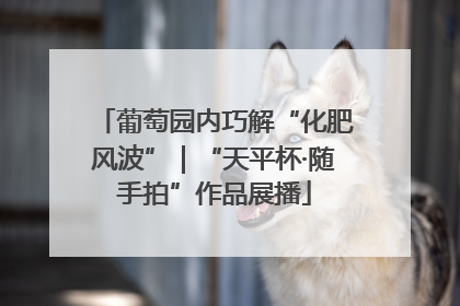 葡萄园内巧解“化肥风波”｜“天平杯·随手拍”作品展播