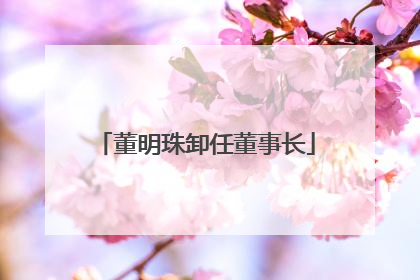 董明珠卸任董事长