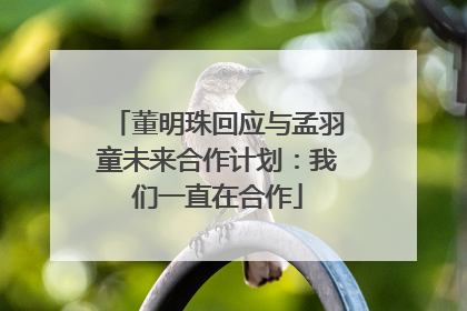 董明珠回应与孟羽童未来合作计划：我们一直在合作