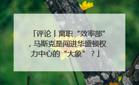 评论丨离职“效率部”，马斯克是闯进华盛顿权力中心的“大象”？