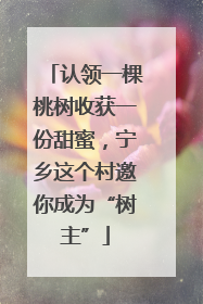 认领一棵桃树收获一份甜蜜，宁乡这个村邀你成为“树主”