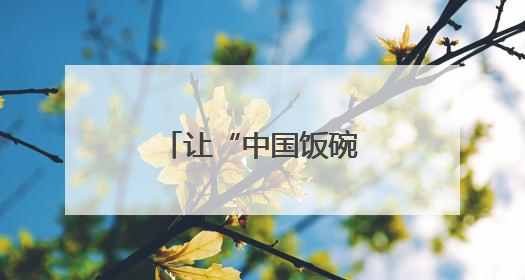 让“中国饭碗”装上更多优质“邓州粮”