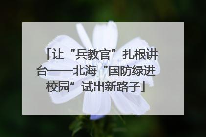 让“兵教官”扎根讲台——北海“国防绿进校园”试出新路子