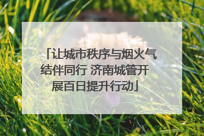 让城市秩序与烟火气结伴同行 济南城管开展百日提升行动
