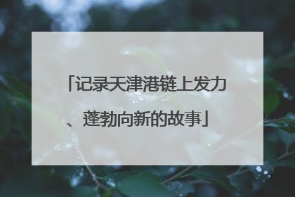 记录天津港链上发力、蓬勃向新的故事