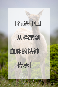 行进中国｜从档案到血脉的精神传承