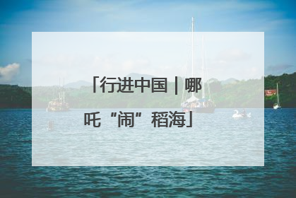 行进中国｜哪吒“闹”稻海