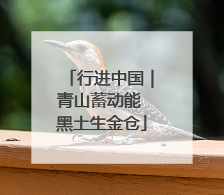 行进中国｜青山蓄动能 黑土生金仓