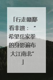 行走赣鄱看非遗：“希望岳家拳的身影遍布大江南北”