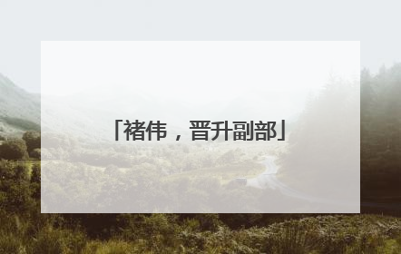 褚伟，晋升副部