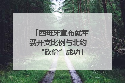 西班牙宣布就军费开支比例与北约“砍价”成功