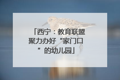 西宁：教育联盟聚力办好“家门口”的幼儿园