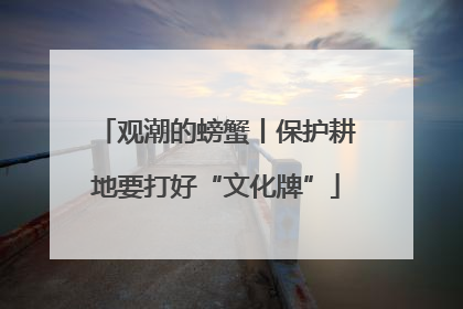 观潮的螃蟹丨保护耕地要打好“文化牌”
