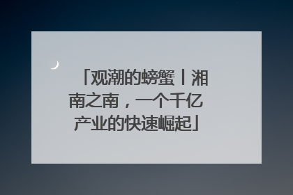 观潮的螃蟹丨湘南之南，一个千亿产业的快速崛起