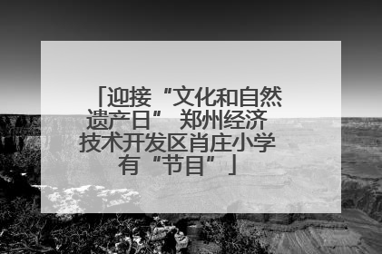 迎接“文化和自然遗产日” 郑州经济技术开发区肖庄小学有“节目”