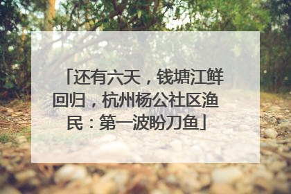 还有六天，钱塘江鲜回归，杭州杨公社区渔民：第一波盼刀鱼