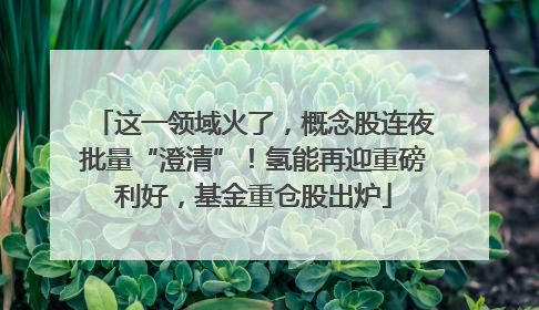 这一领域火了，概念股连夜批量“澄清”！氢能再迎重磅利好，基金重仓股出炉