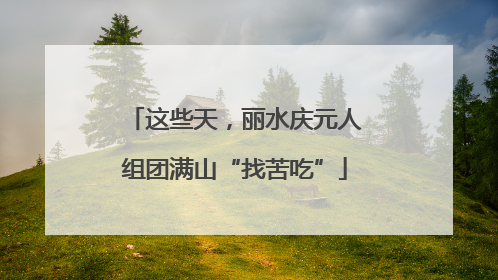 这些天，丽水庆元人组团满山“找苦吃”